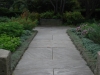 Dwarf Sage And Scented Geraniums Walk Way September