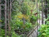 Secret Gate