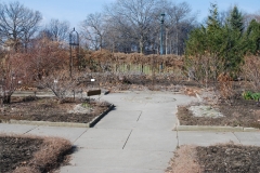 Late March Garden