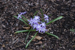 Early April ‘sign of spring’