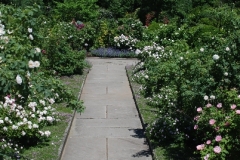 Rose Walk