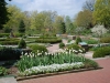 Spring  garden