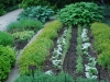 June Garden