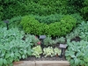 June Garden