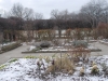 January  Garden