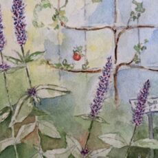Herb Fair