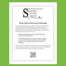 Scholarships available for 2024-2025