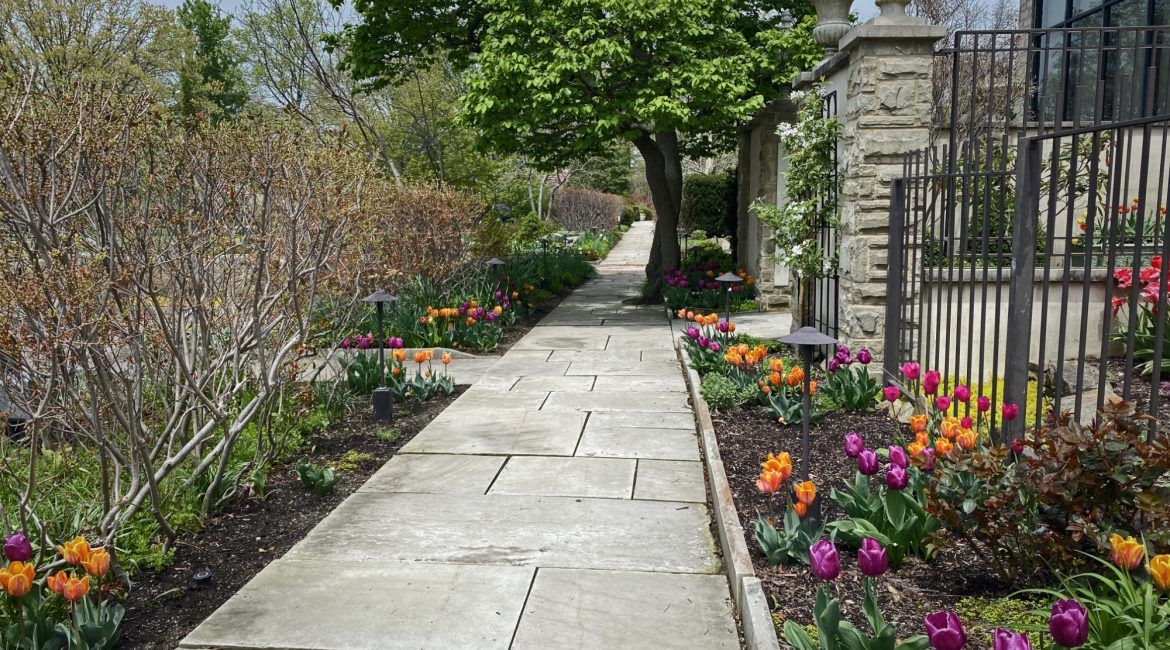 WRHS Edible Herb Garden