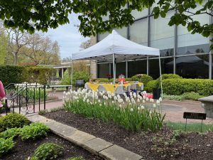 Rose Garden Safety Rail Celebration Ceremony image
