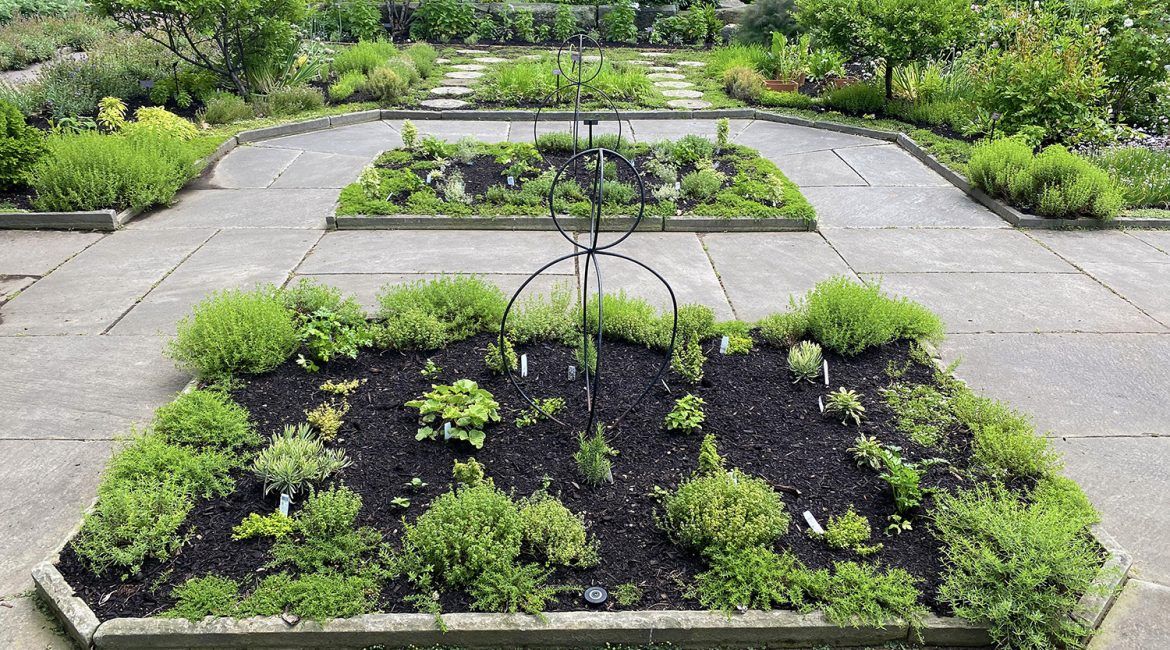 Culinary Garden image