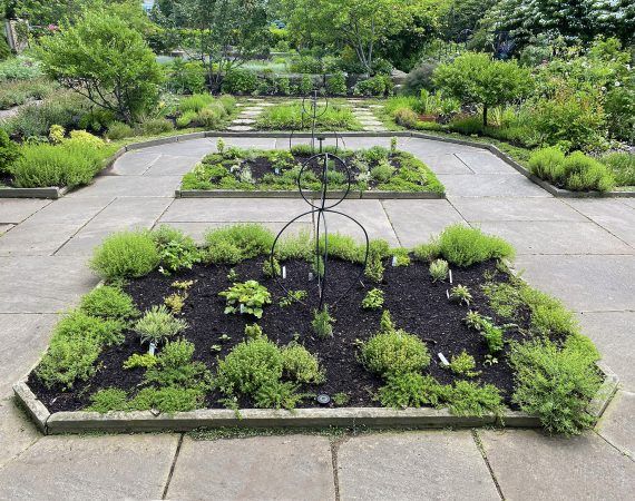 Culinary Garden image