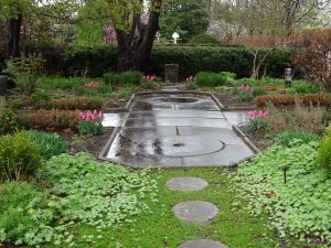 WRHS Medicinal Garden in rain image