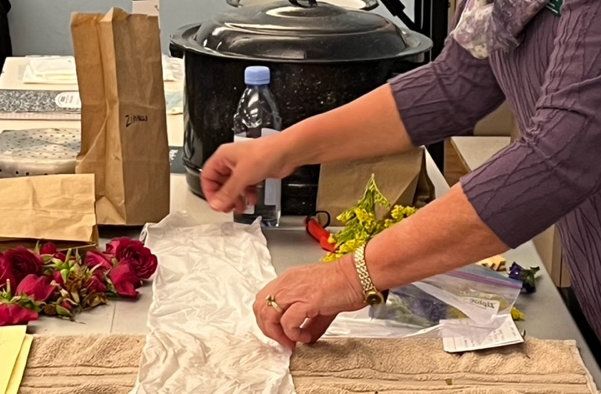 Eco-Dye demonstration image