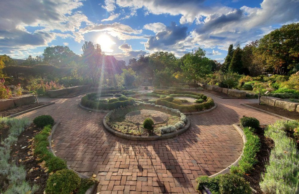 Knot Garden sunrise