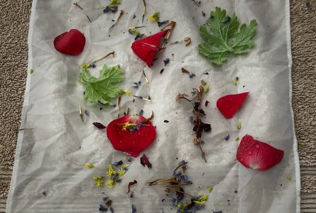 Eco-Dye Silk Scarves feature image
